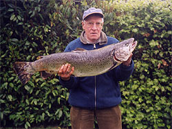 truite de mer record