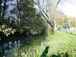 dbut du parcours