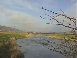 3 ponts amont